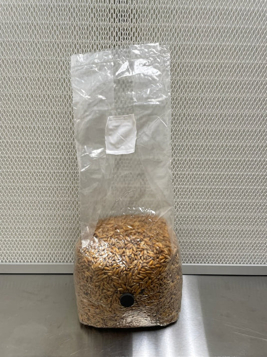 3lb Machine Sterilized Mushroom Grain Bags